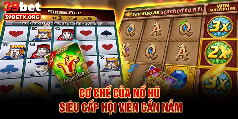 co-che-cua-no-hu-sieu-cap-hoi-vien-can-nam